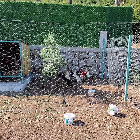 Lägenhet Alestamarmarisapart Hisaronu